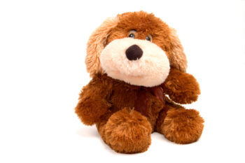 Cuddly dog soft toy