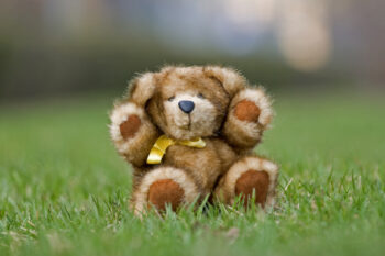 Teddy bear sitting on the grass