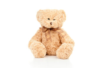 Teddy bear with white background