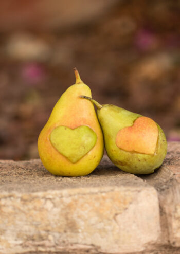 Two pears with heart inserts
