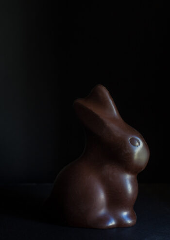 Chocolate rabbit with black background