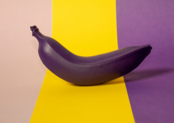 Purple banana on yellow and purple background