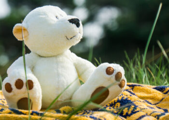 Teddy bear sitting on blanket