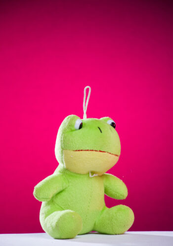 Toy frog with shocking pink background
