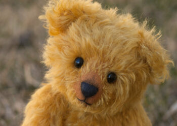 Teddy bears face