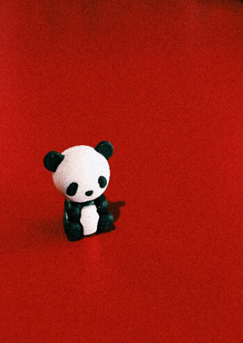 Panda toy with red background