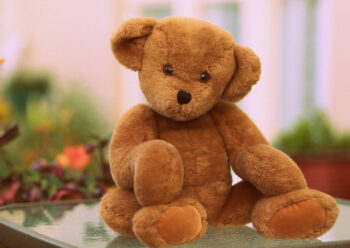 Teddy bear sitting near flowers