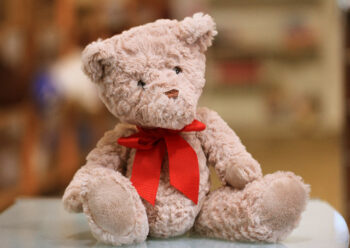 Teddy bear with blurred background