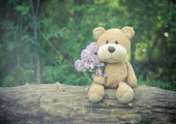 Teddy sitting outside holding flowers