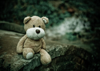 Teddy sitting outside