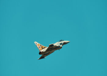 French Dassault Rafale fighter jet with tiger livery on tail