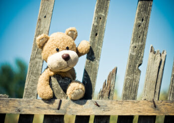 Teddy sitting on a fence