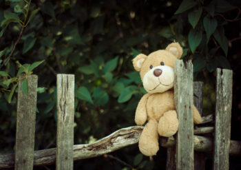 Bear sitting on a fence