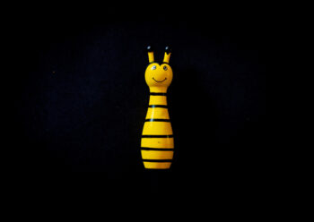 Bee skittle with black background