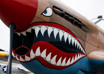 Close up of shark plane livery