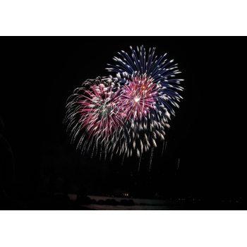 Fireworks in the sky