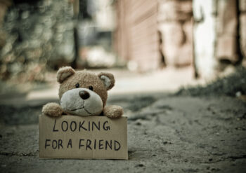 Bear with looking for a friend sign