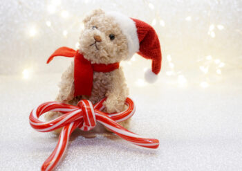 Christmas teddy with a large red and white bow