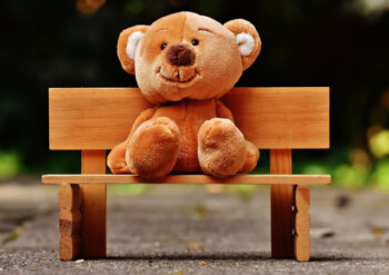 Bear sitting on a bench