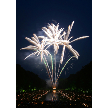 Large fireworks illuminating the sky