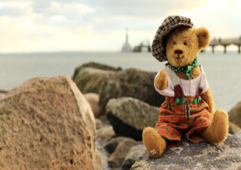 Bear with cap sitting on rocks by the sea