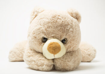 Teddy bear laying down