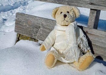 Bear with scarf sitting on the snow