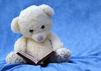 Teddy reading a book