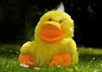 Yellow duck on grass