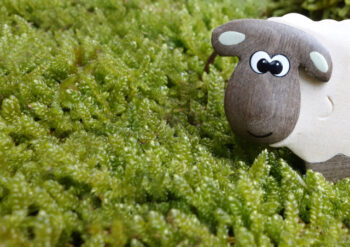 Wooden sheep figure on green foliage