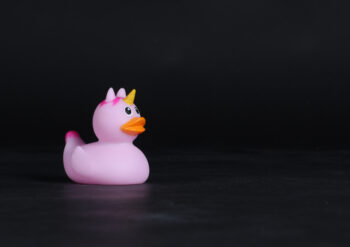 Pink duck with an orange mouth with a black background