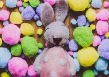 Toy rabbit surrounded by coloured fur balls