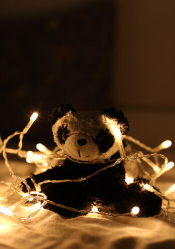 Soft toy sitting in lights