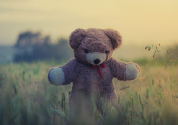 Teddy with a red bow in a field