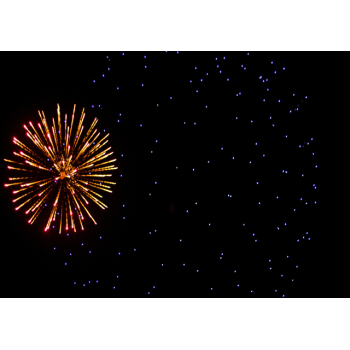 Firework in the sky