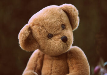 Teddy bear with a black background