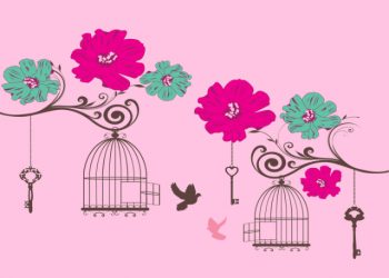 Bird cages and flowers with pink background