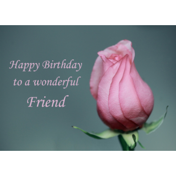 Pink rosebud Friend birthday