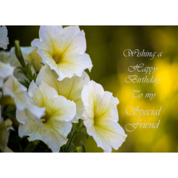 White flowers Friend birthday