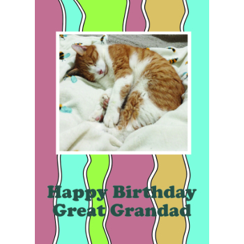 Cute cat with natural heart marking in fur Great Grandad birthday