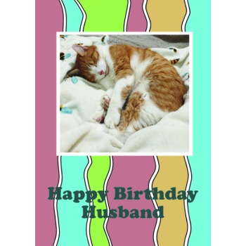 Cute cat with natural heart marking in fur Husband birthday