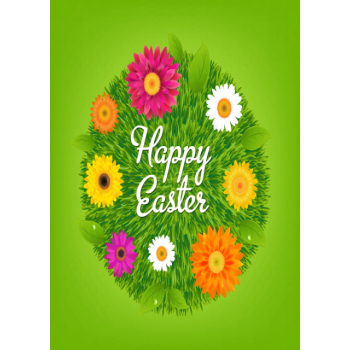 Vibrant coloured flowers