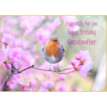 Robin sitting on blossom tree Grandmother birthday