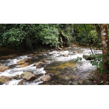 Slow flowing river retirement