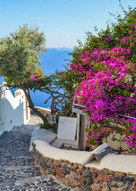Stone pathway on hillside with view of ocean
