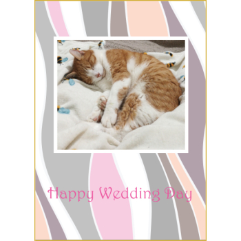 Cute cat with heart in fur wedding
