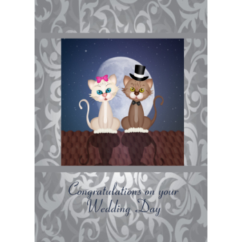 Bride and groom cats on roof